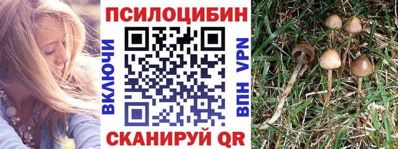 где можно купить   площадка какой сайт  Галлюциногенные грибы Cubensis  Каменск-Уральский 