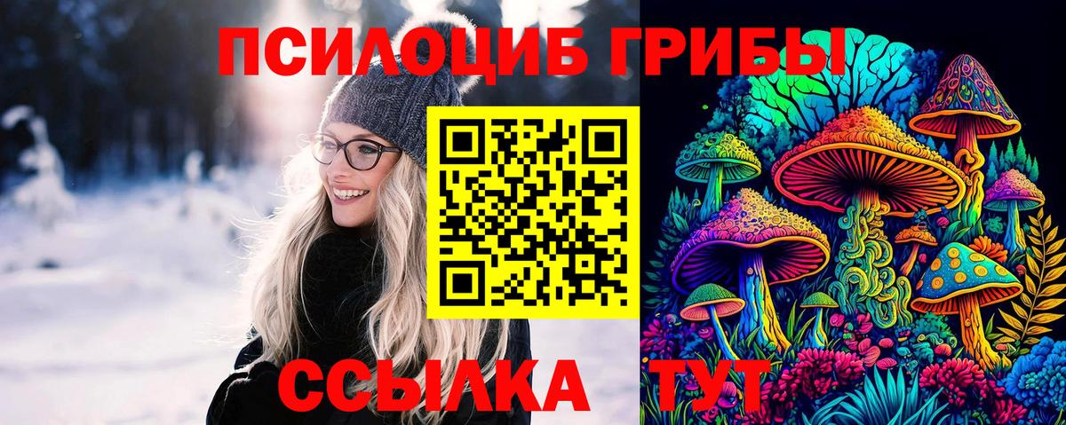 купить наркоту  Галлюциногенные грибы мицелий  Вход с VPN  Каменск-Уральский 